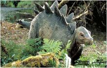 Stegosaurus baby