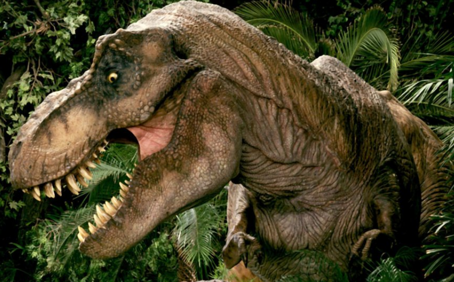 Tyrannosaurus rex/Film, Jurassic Park Wiki