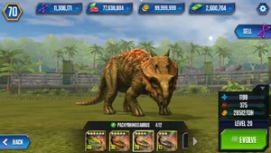 Level 11-20