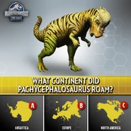 14517442 1116472738459960 8162856926340232980 n.png (358 KB)