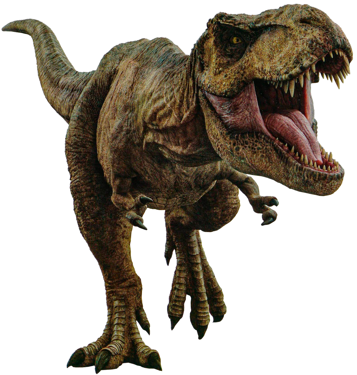 Roberta (Rexy) | Jurassic Park Wiki | Fandom