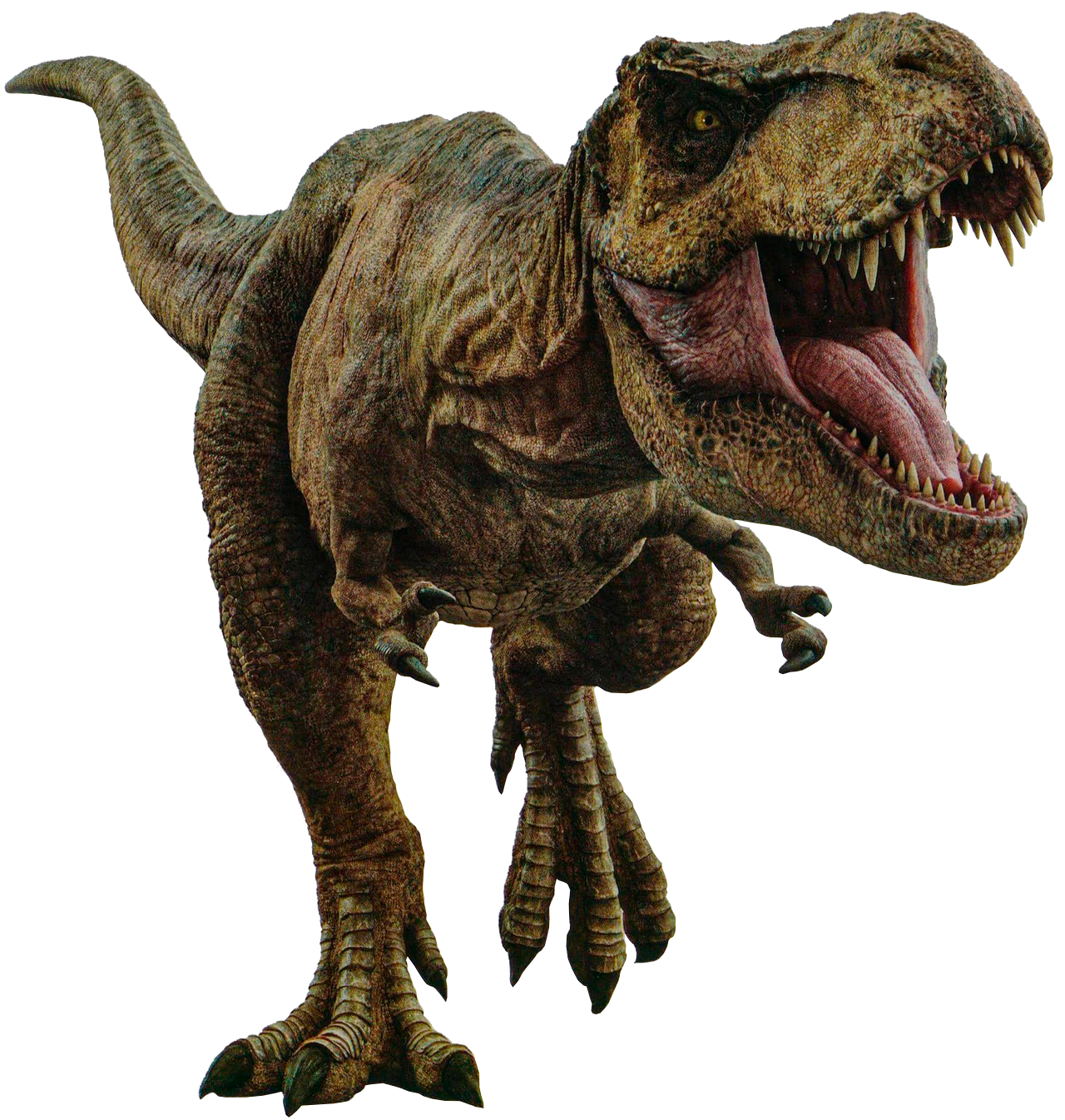Roberta (Rexy) | Jurassic Park Wiki | Fandom Roberta (Rexy) | Jurassic Park Wiki | Fandom