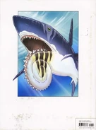 Helicoprion 4654.jpg (17 kB)