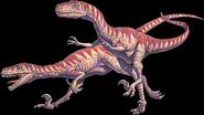 Deinonychus joe