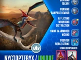 Nyctopteryx