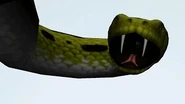 Snakey.jpg (7 KB)