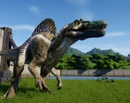 Spinoskin.jpg (51 KB)