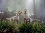 007jhi.webp (118 kio)