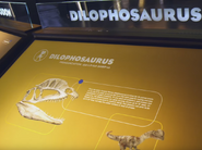 Holoscapedilophosaurus