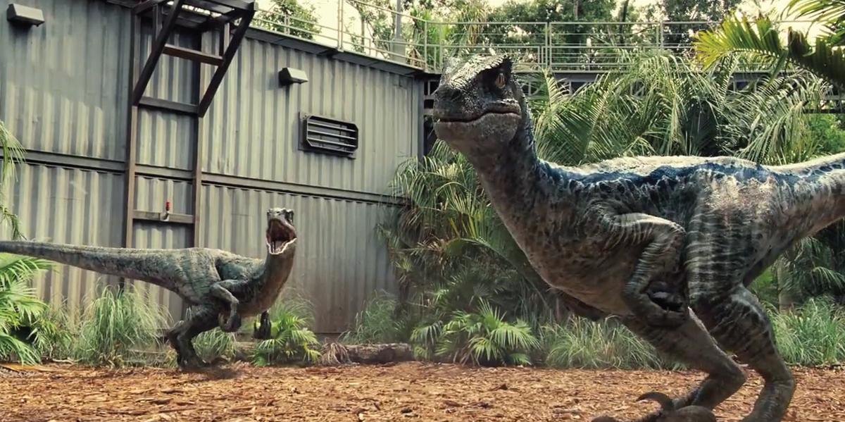 Dinosaur Raptor / Velociraptor with Olive Green Back and Sand Green  Markings (Jurassic World Echo) : Part Raptor05