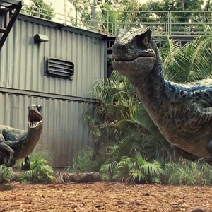 Jurassic World Velociraptor Pack Jurassic Park Wiki Fandom Wd toys presents clever as ever, jurassic world's velociraptors are masterful hunters. jurassic world velociraptor pack