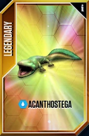Acanthostega Card