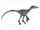 Saurornithoides