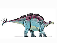 JIC Wuerhosaurus