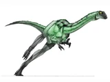 Kakuru