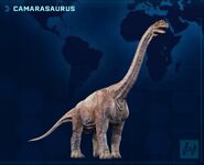 JWE Camarasaurus