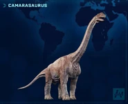 Camarasaurus