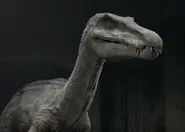 Baryonyx (Saison 1, 2 et 3)