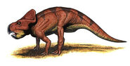 Protoceratops