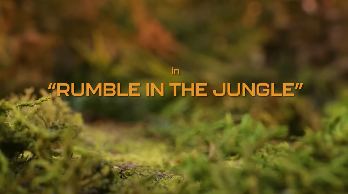 ジャパレゲ BUSH HUNTER 同オケ Rumble inna jungle Rumble in the Jungle: Andreae, Giles, Wojtowycz, David