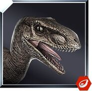 Velociraptor Icon