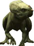 Aquilops-10.png (923 KB)