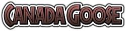 Canadagoosetext