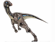 Qantassaurus