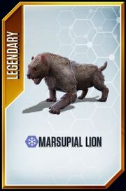 Marsupial Lion card