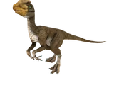 Guanlong