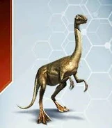 Галлимим(1).jpeg (6 КБ) карточка галлимима