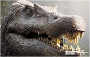 Spinosaurus close up
