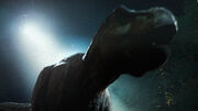 T-Rexy.jpg