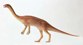 Anchisaurus