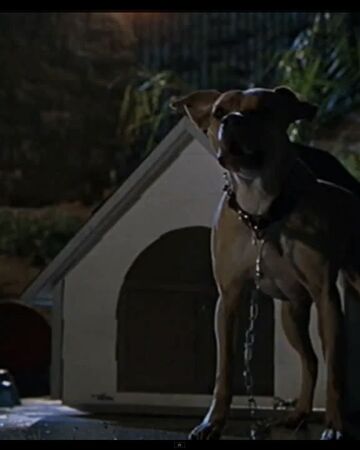 ベンジャミンの犬 ジュラシック パーク Wiki Fandom ベンジャミンの犬 ジュラシック パーク Wiki Fandom
