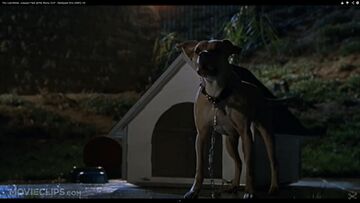 Jurassic world red the dog top