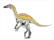 Shuvosaurus