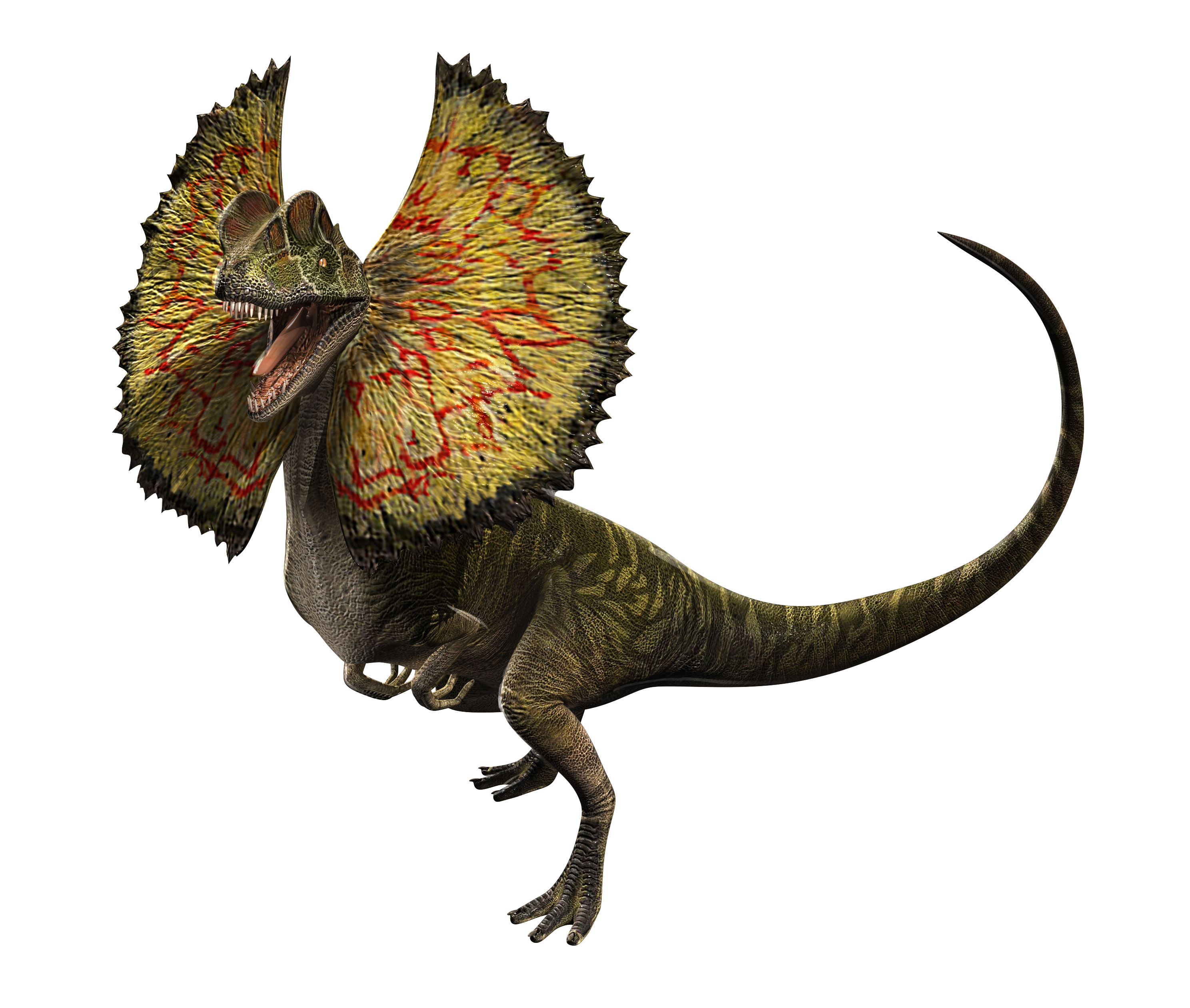 DILOPHOSAURUS & VARIANTS - Jurassic park Universe  Jurassic park, Jurassic  park world, Jurassic world