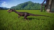 Proceratosaurus Vivid