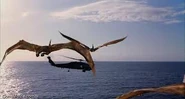 Pterosaurusia.jpg (6 KB)