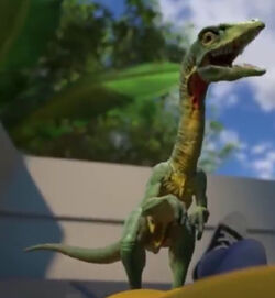 Compsognathus Jurassic Park Wiki Fandom