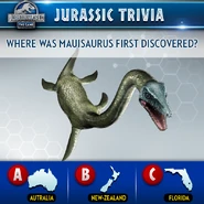 66688860 2316104118496810 8204888643609821184 n.png (355 KB)