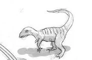 Ornithopod
