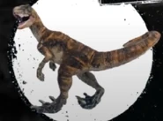 Velociraptor