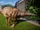 Edmontosaurus/JW: E