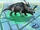 Styracosaurus lux