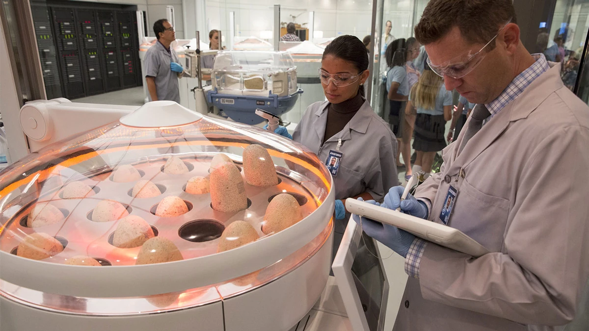 лаборатория будущего. мир юрского периода лаборатория. мир лаборатории. мир лаборатории. современная химическая лаборатория.