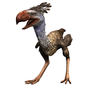 JWA PressKit Phorusrhacos