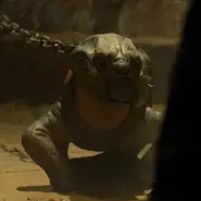 Lystrosaurus (début)