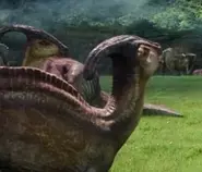 Parasaurolophus